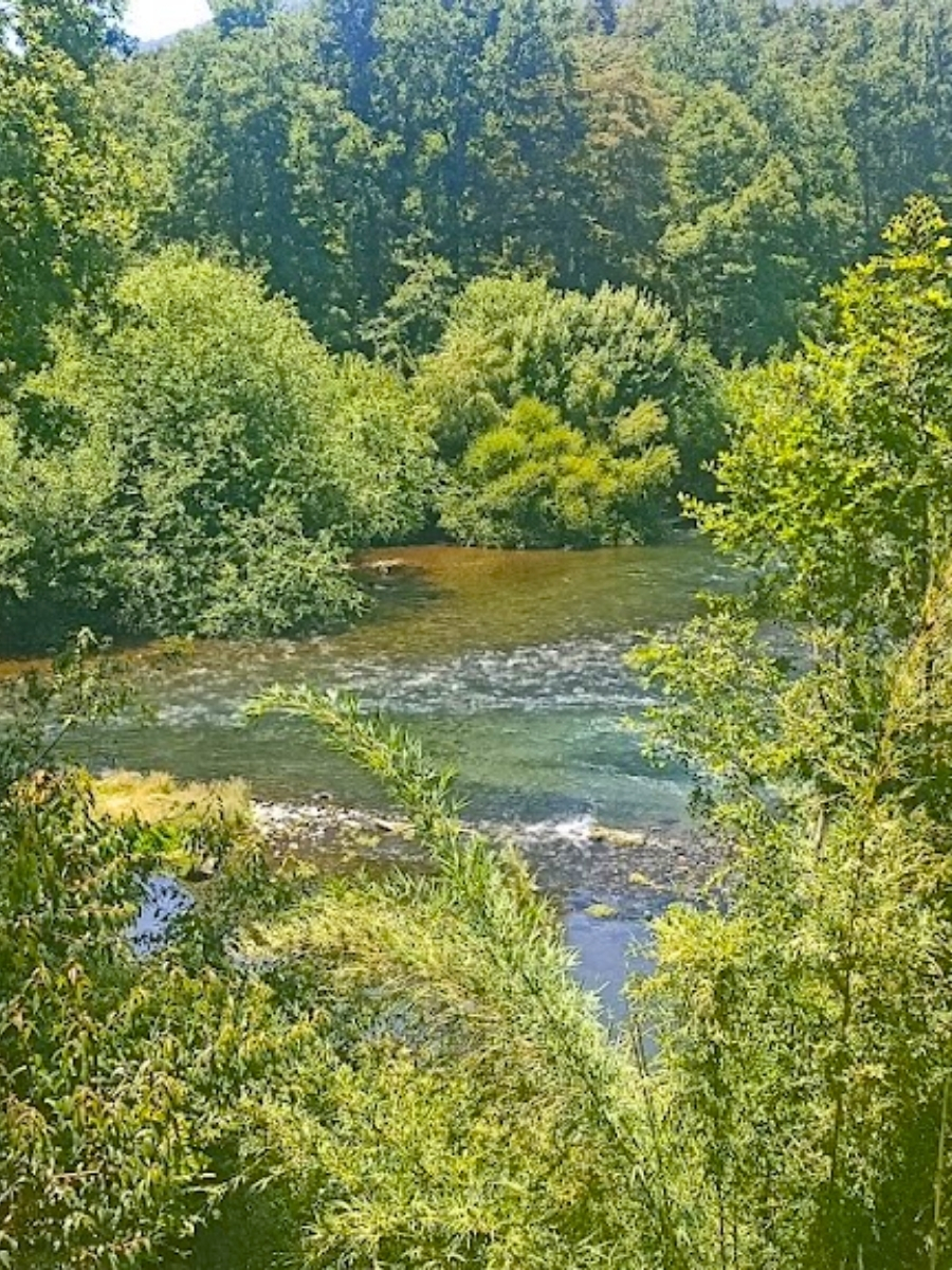 RIO LIUCURA (3)