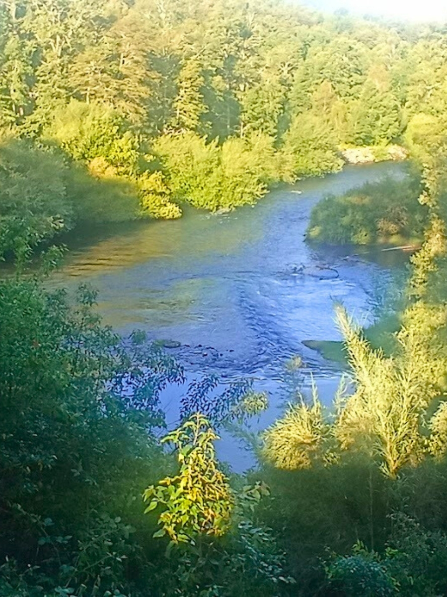 RIO LIUCURA