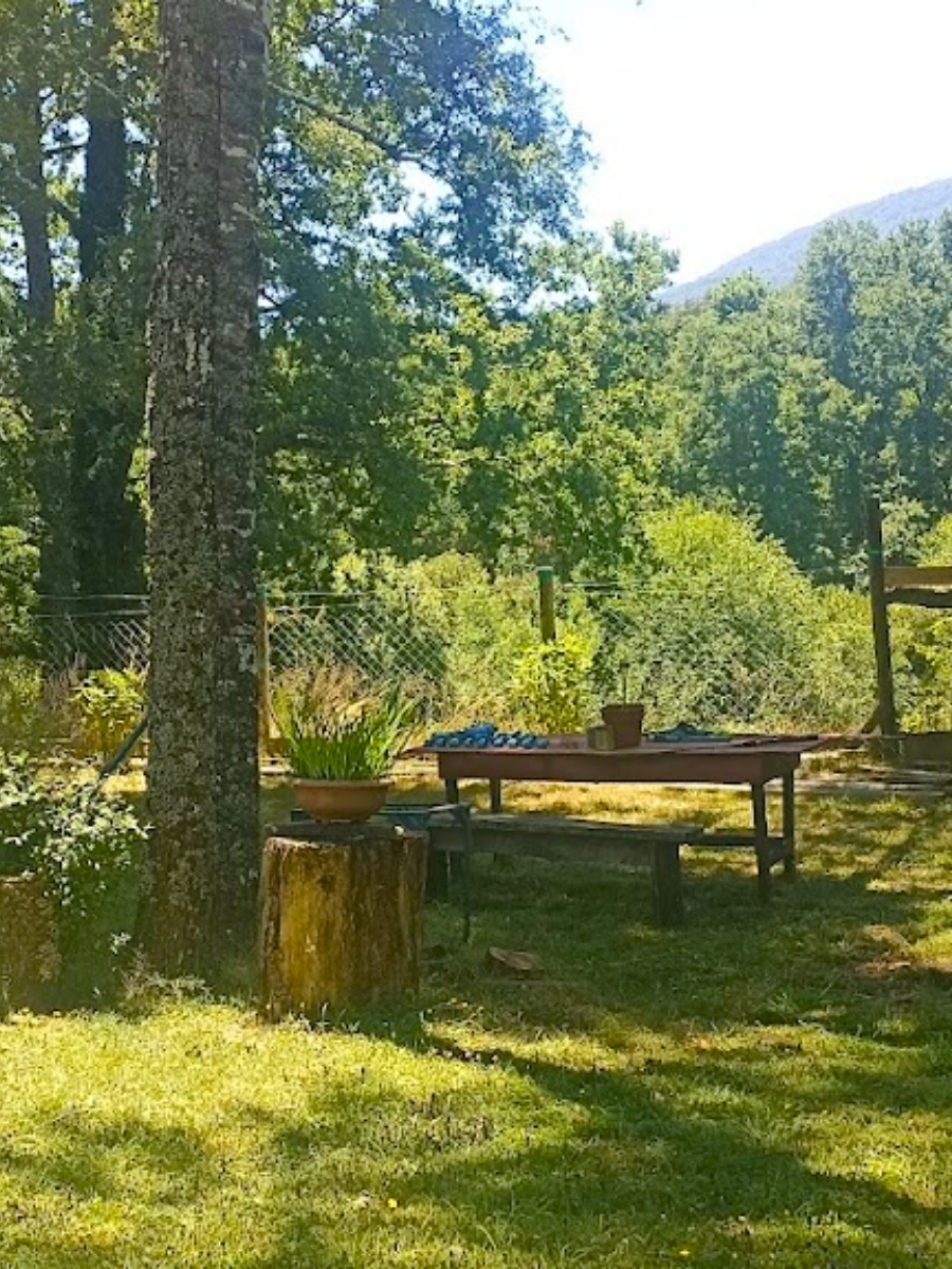 UN ASADO A LA ORILLA DEL RIO